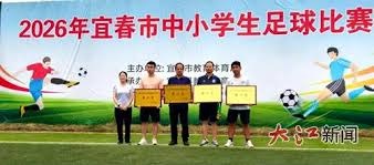 波特辞去U21主帅职位解析及未来展望